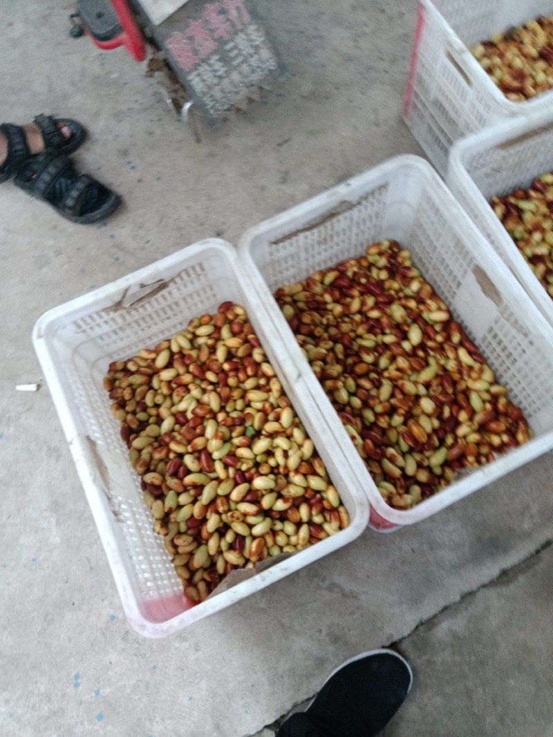 马牙栆自然熟口感甜脆
