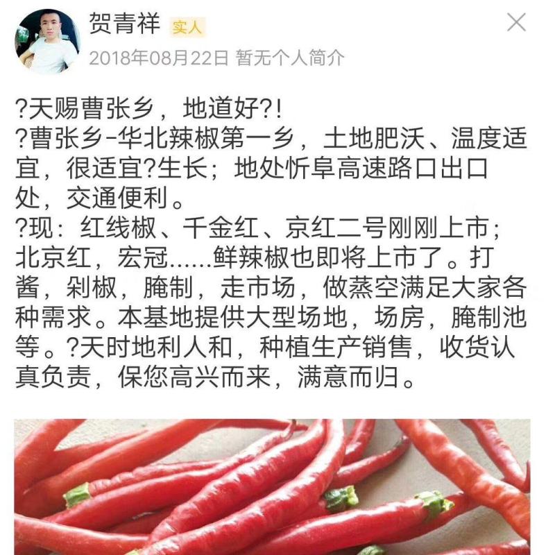 鲜线椒3号去把去帽