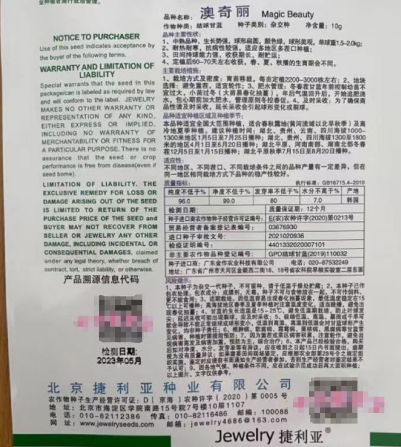 澳奇丽球甘蓝种子春秋冬播种稳产甘蓝种子基地用种