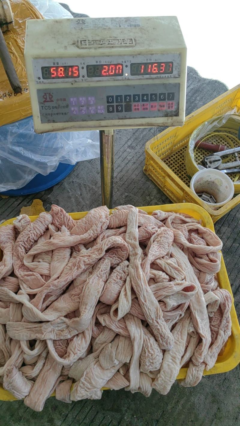 预煮精修无油大肠头，大量有货欢迎来电咨询洽谈合作