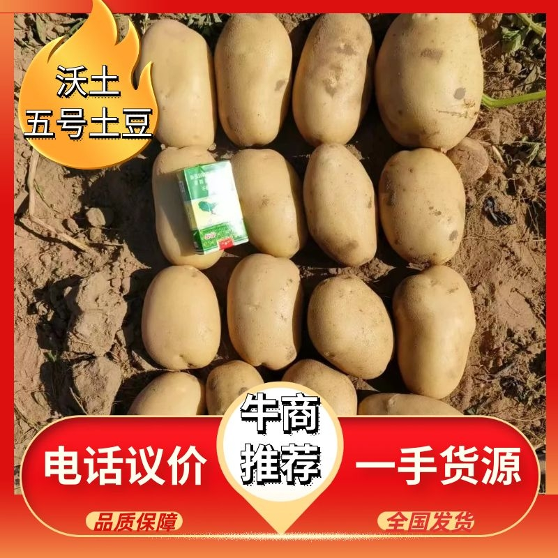 【精品】内蒙古土豆产地直销，一手货源，量大价优