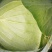 高山蔬菜