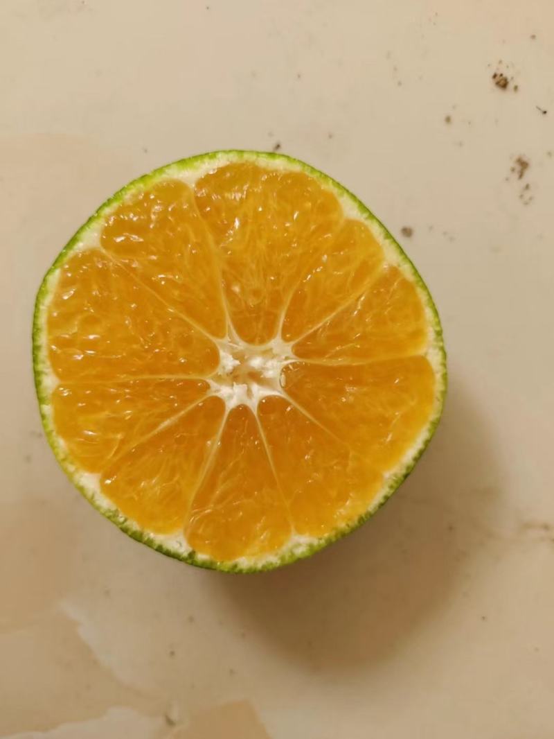 大丰1号蜜橘