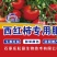 西红柿专用肥悬浮液体肥生根旺苗膨果靓色防裂增产