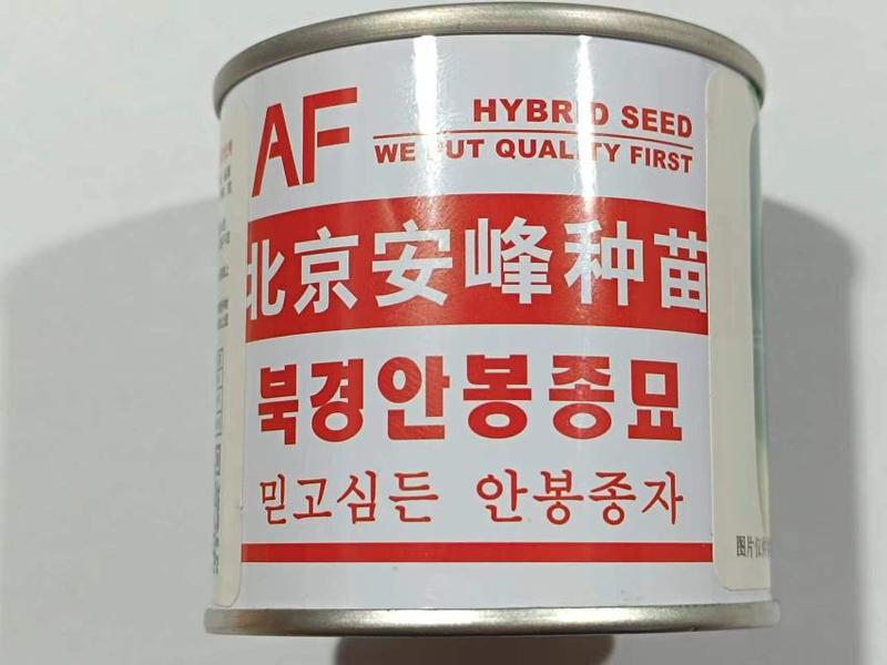 晶脆韩国进口青萝卜种子籽早熟水果萝卜抗病稳产优良种子