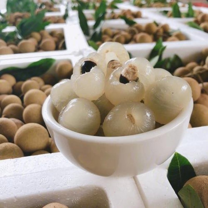 龙眼又名桂圆，大量上市中，本品是龙眼中的储良，皮薄肉厚核