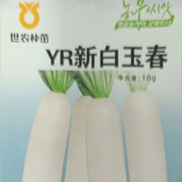 YR新白玉春