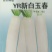 YR新白玉春