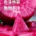 红炎十八萝卜水果萝卜种子秋季稳产防抽苔优质品种基地用