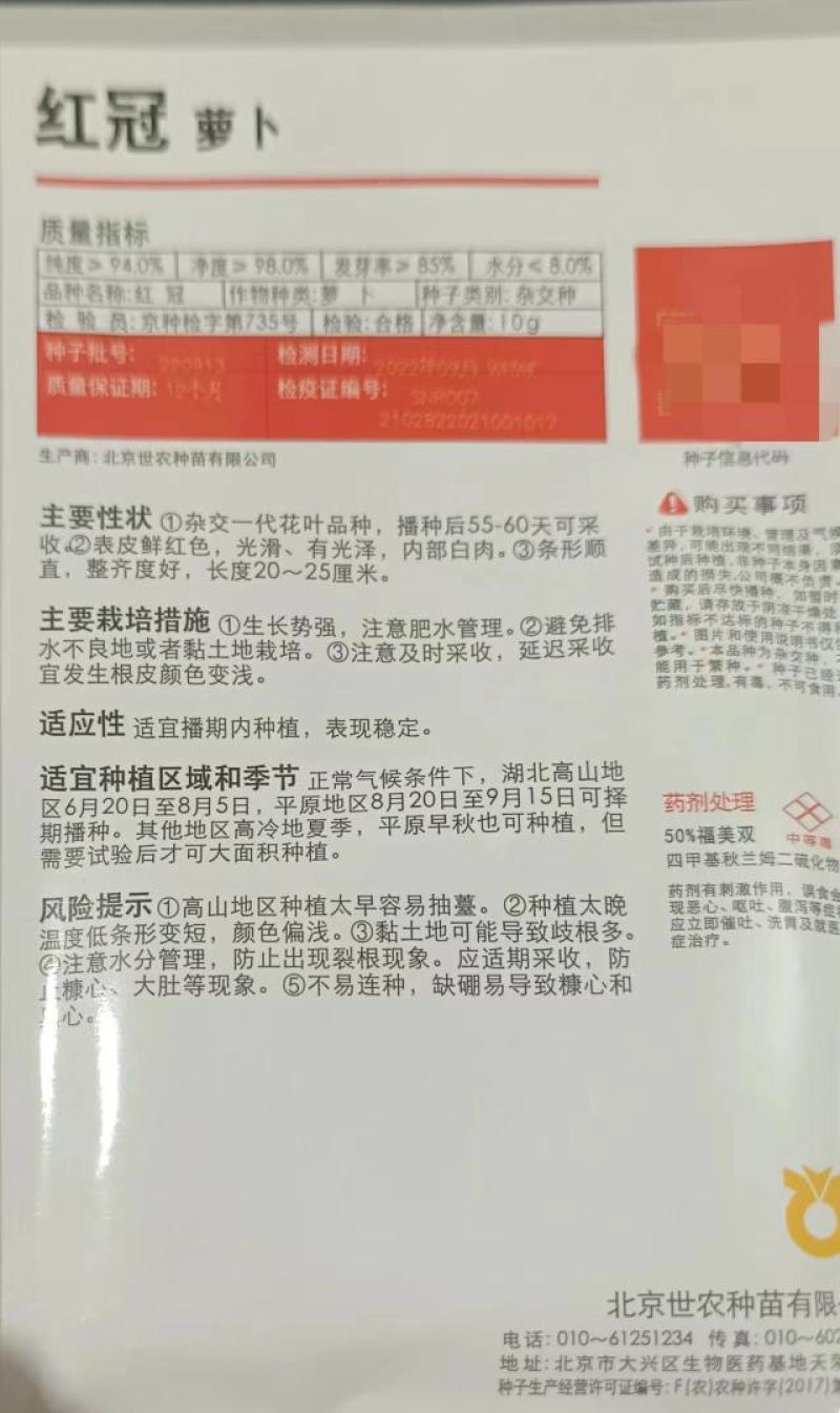 红冠萝卜