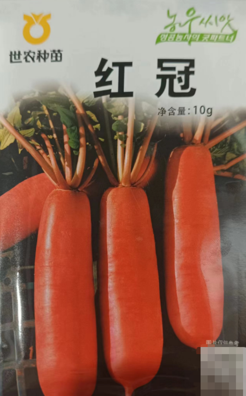 红冠萝卜