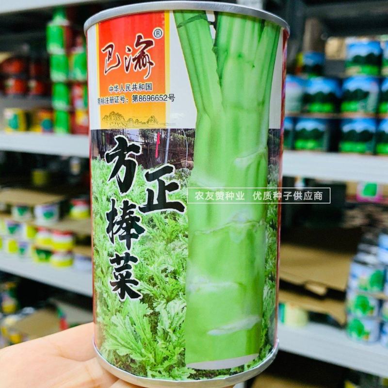 方正棒菜种子花叶棒菜笋子芥菜种子耐寒茎叶兼食重庆棒菜种籽