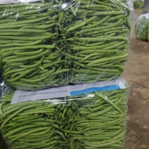 专业电商货大量上市