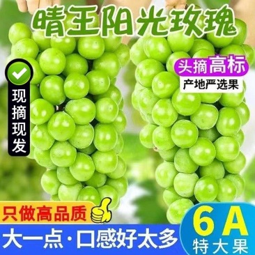 阳光玫瑰对接各大电商抖音快手平台一件代发