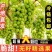 阳光玫瑰对接各大电商抖音快手平台一件代发
