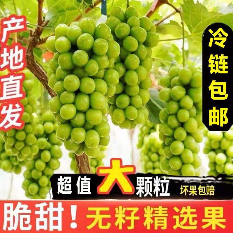 阳光玫瑰对接各大电商抖音快手平台一件代发