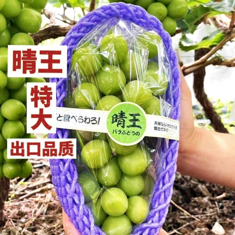 阳光玫瑰对接各大电商抖音快手平台一件代发