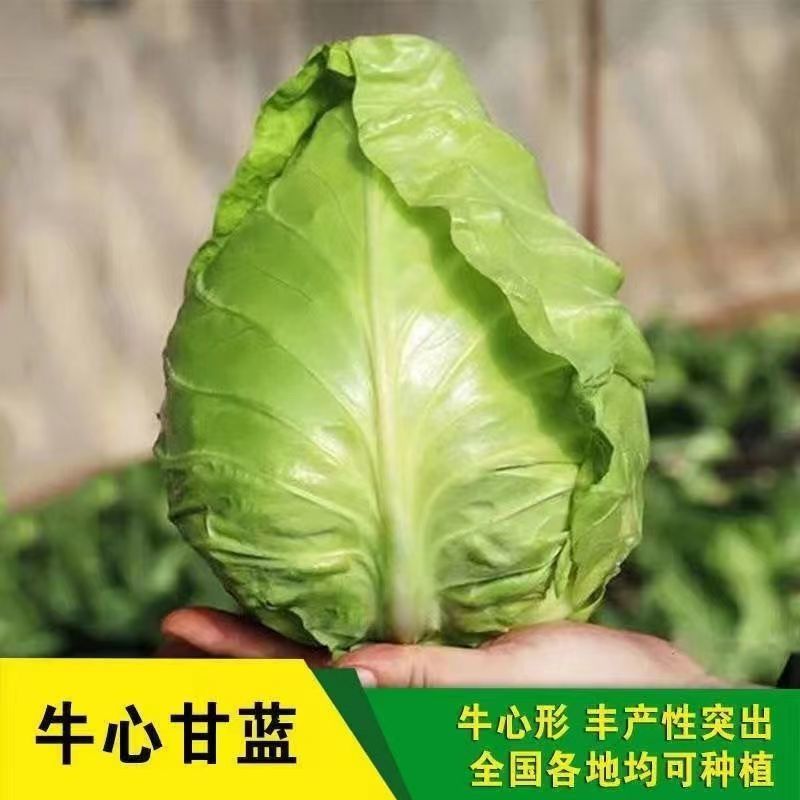 捷甘心生
