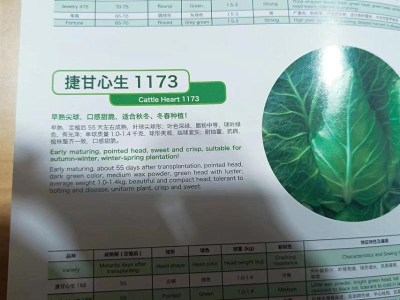捷甘心生
