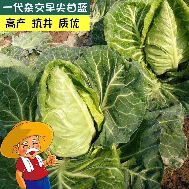 捷甘心生