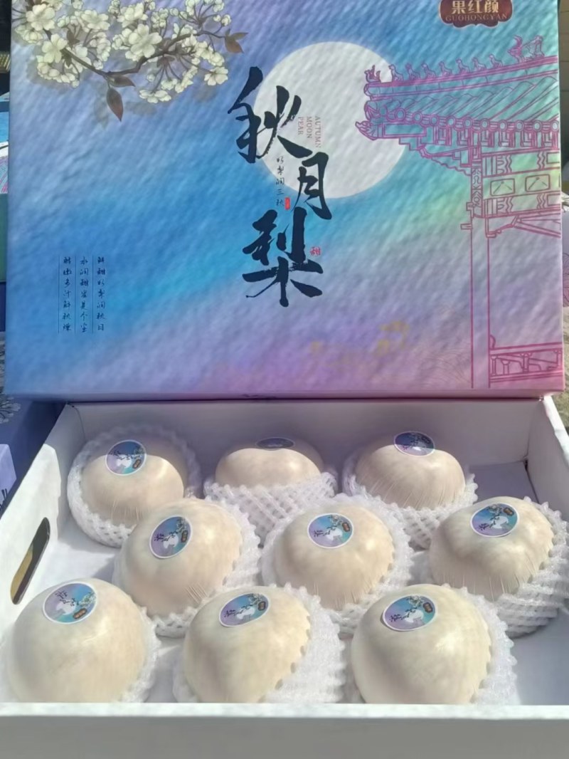 山东聊城秋月梨，产地直发，品质保证，量大从优，可视频看货