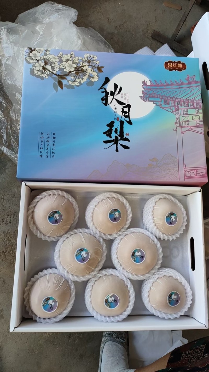 山东聊城秋月梨，产地直发，品质保证，量大从优，可视频看货