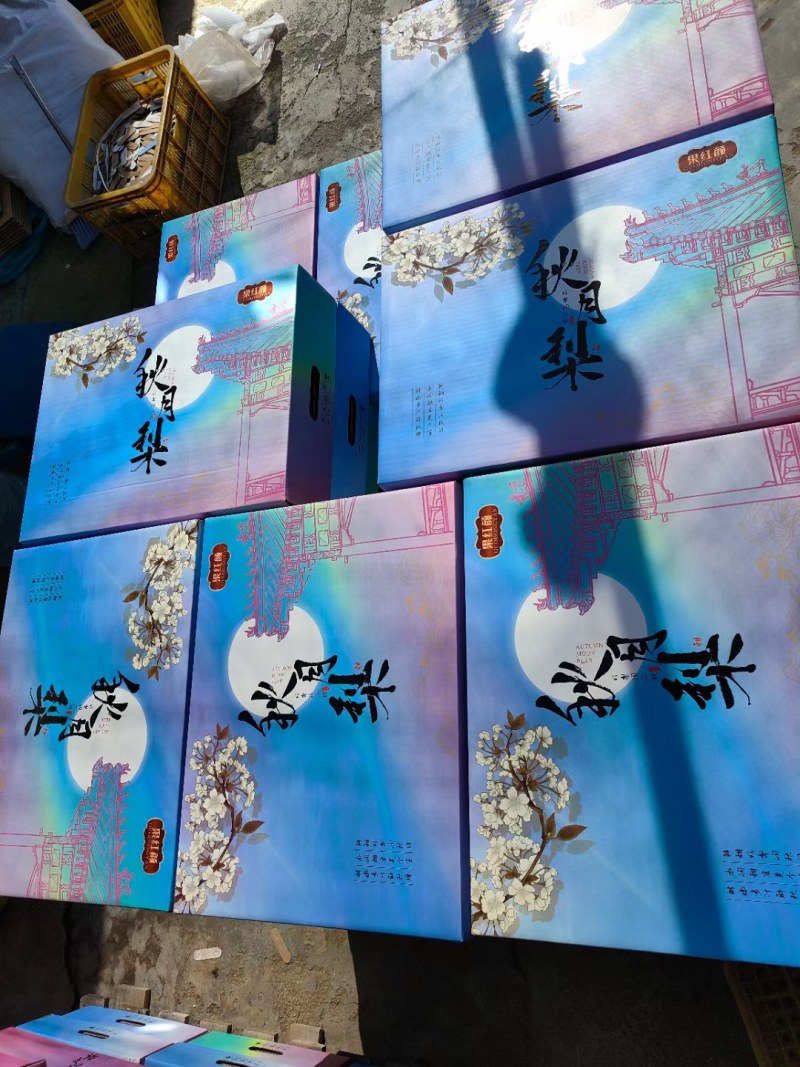 山东聊城秋月梨，产地直发，品质保证，量大从优，可视频看货