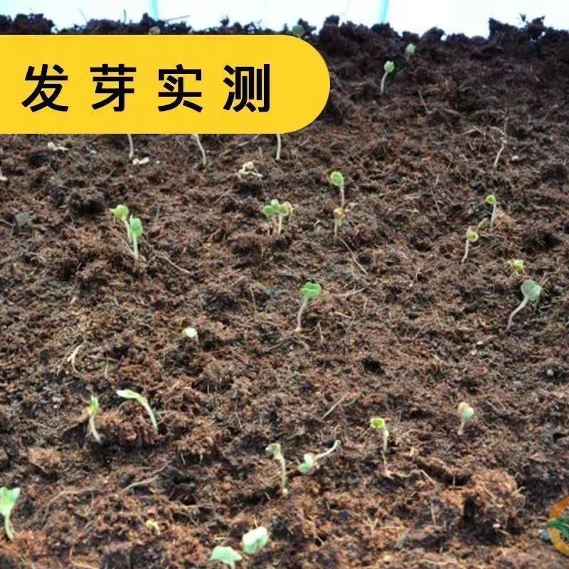 捷美佳361
