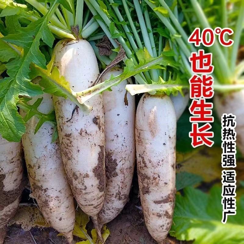 捷美佳361