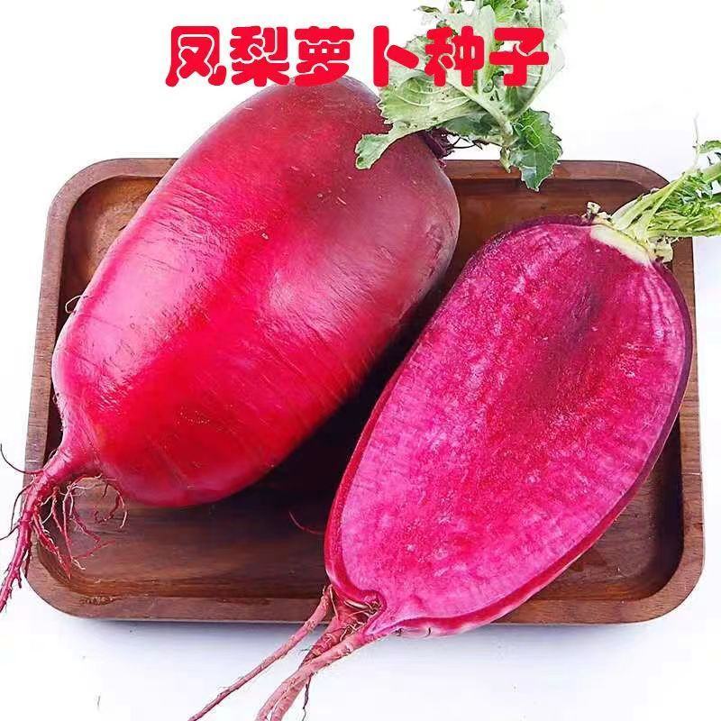 红炎十八萝卜