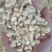 糯玉米干粒，干棒
