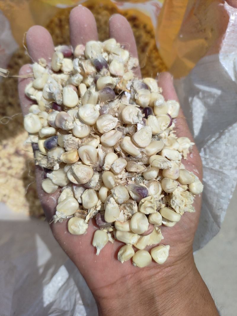 糯玉米干粒，干棒