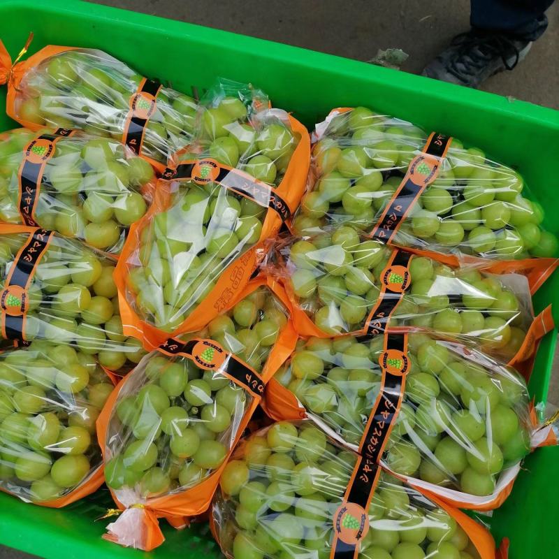 精品阳光玫瑰，颗粒饱满，供应电商，各大水果交易市场