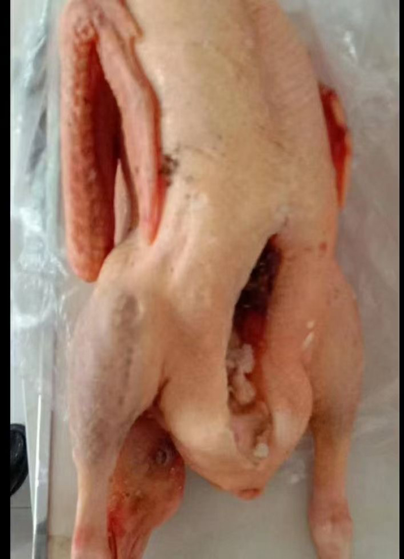 鹅东北大鹅，白条鹅肉，肉质鲜美，保证质量，欢迎下单咨询