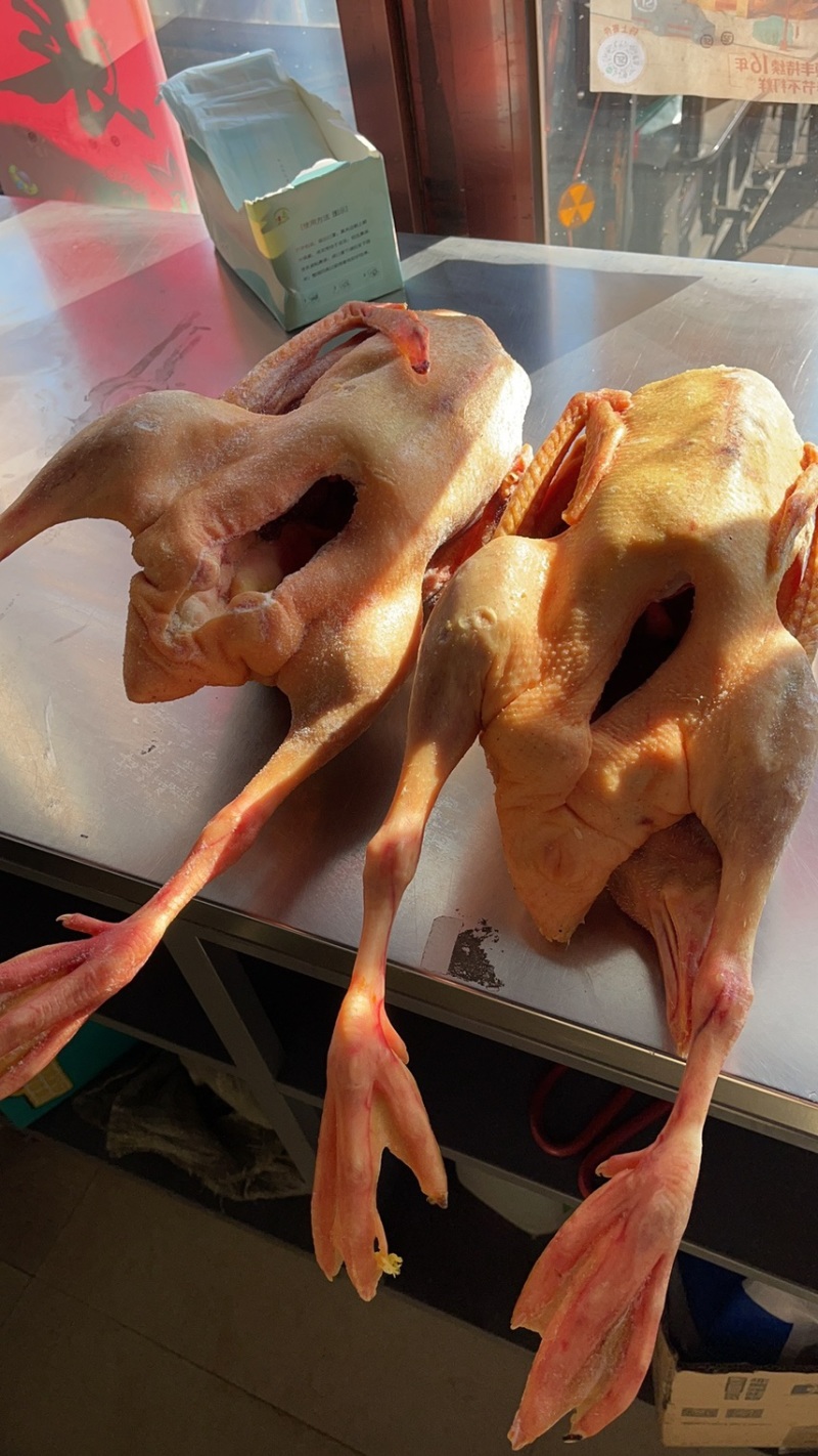 鹅东北大鹅，白条鹅肉，肉质鲜美，保证质量，欢迎下单咨询