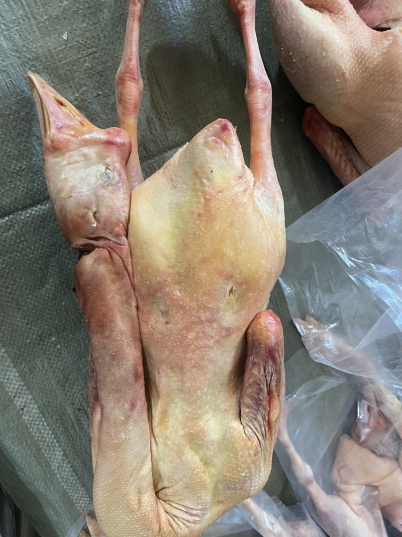 鹅东北大鹅，白条鹅肉，肉质鲜美，保证质量，欢迎下单咨询