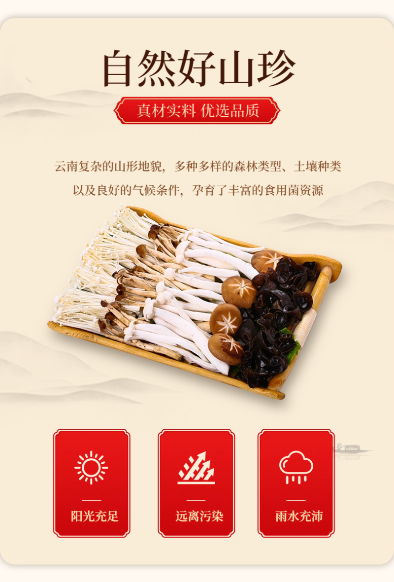 【品牌货】红山友60g菌汤包低至8.8元/袋产地直销