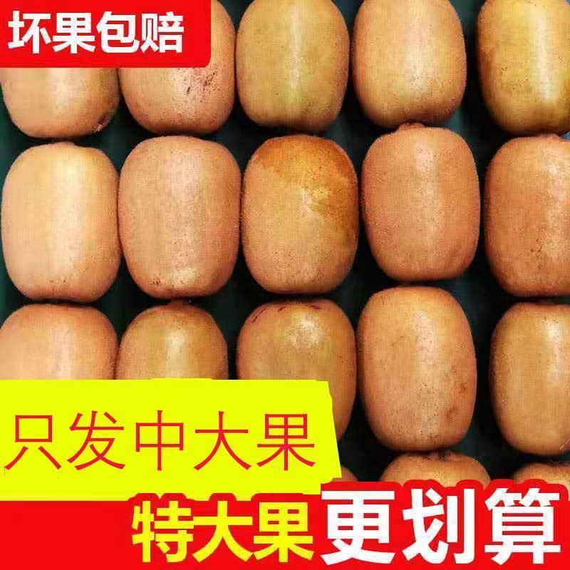 黄心猕猴桃一件代发整车团购批发