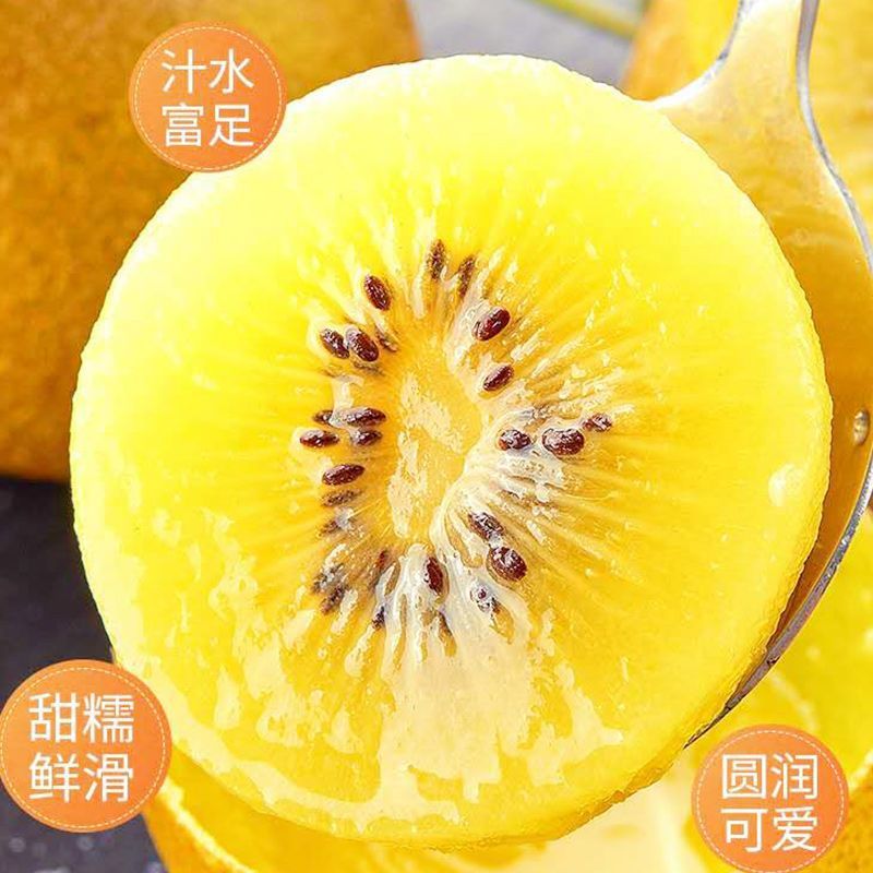 黄心猕猴桃一件代发整车团购批发