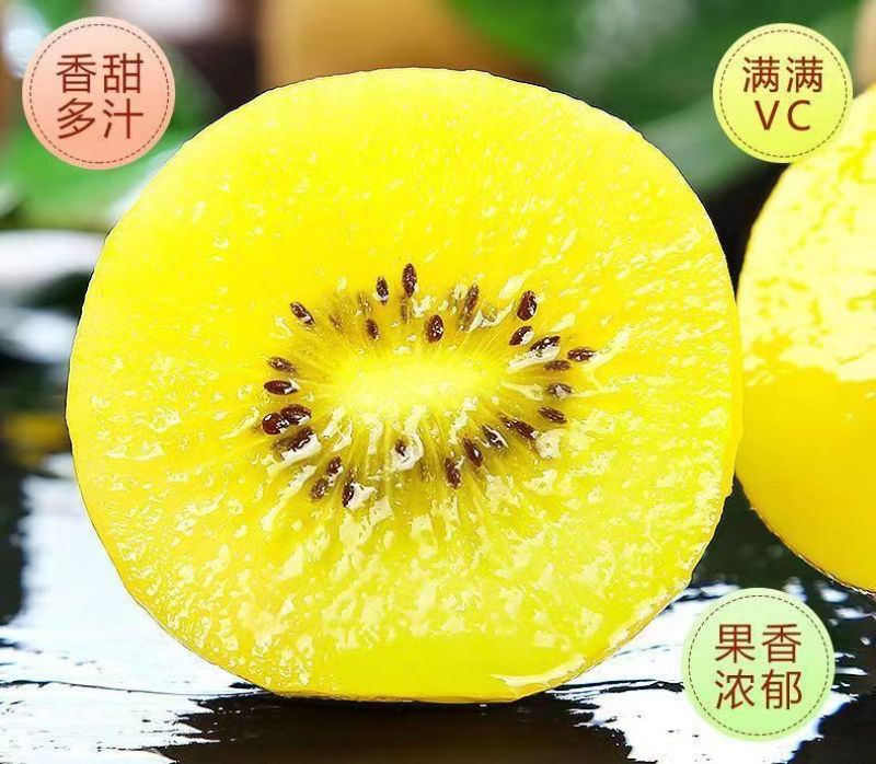 黄心猕猴桃一件代发整车团购批发