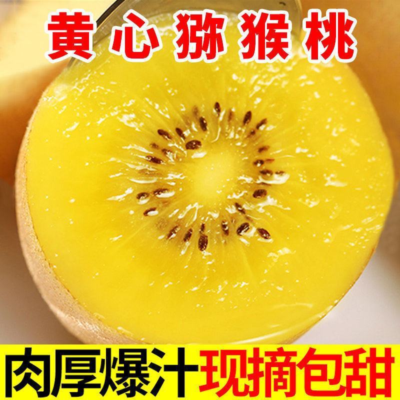 黄心猕猴桃一件代发整车团购批发