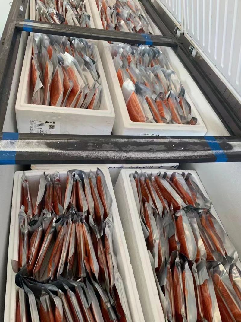 三文鱼日式料理即食冰鲜三文鱼冰鲜刺身中段生鱼片整条现切