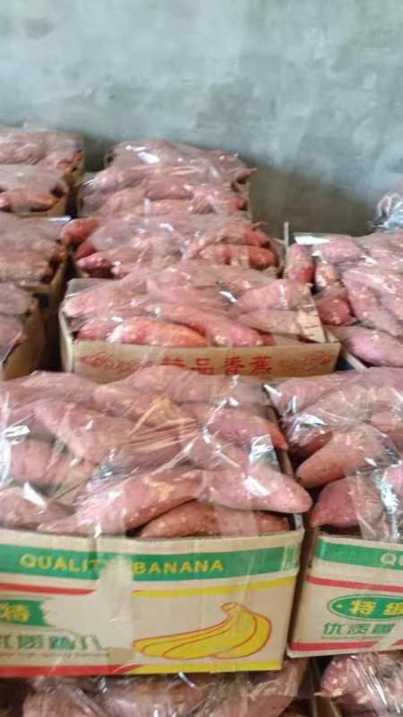 湖北襄阳精品西瓜红以大量上市。欢迎全国各地客商前来采购