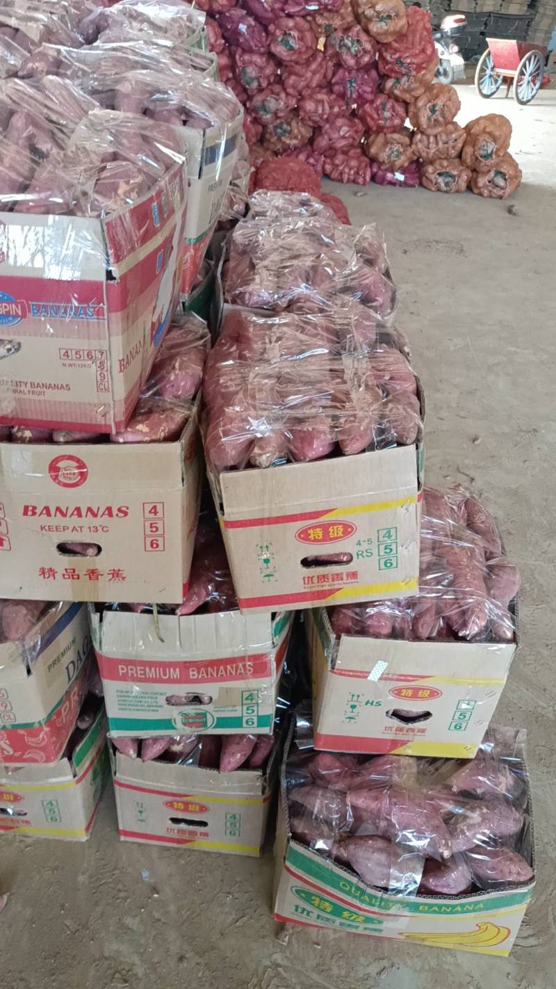 湖北襄阳精品西瓜红以大量上市。欢迎全国各地客商前来采购