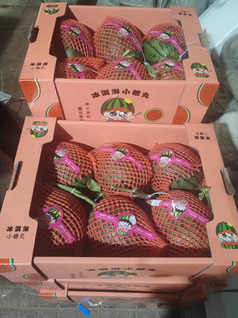 早春红玉2k西瓜冰糖子西瓜牛奶小吊瓜一手货源产地直发