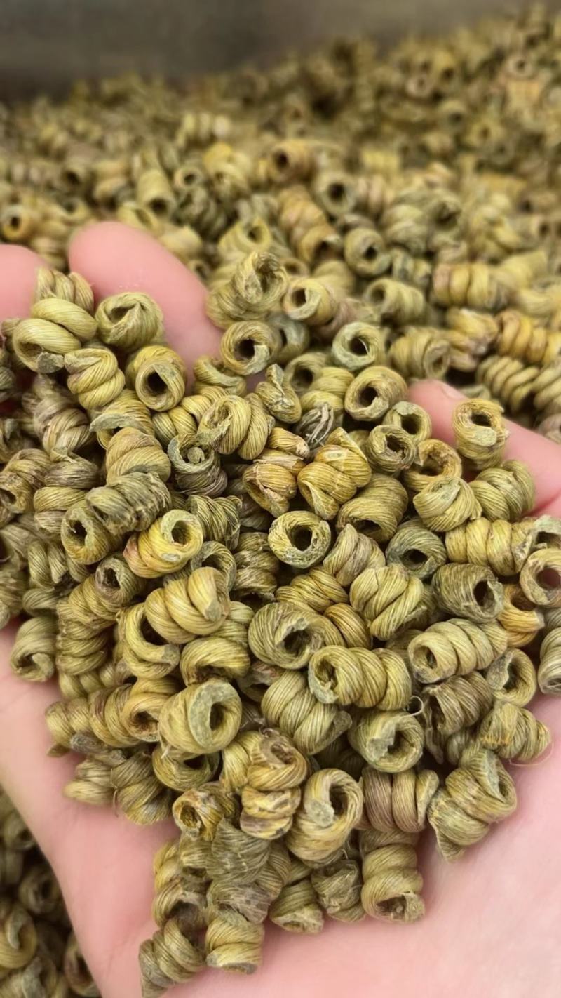 安徽精品霍山石斛/枫斗小颗粒饱满长形多圈长年批发