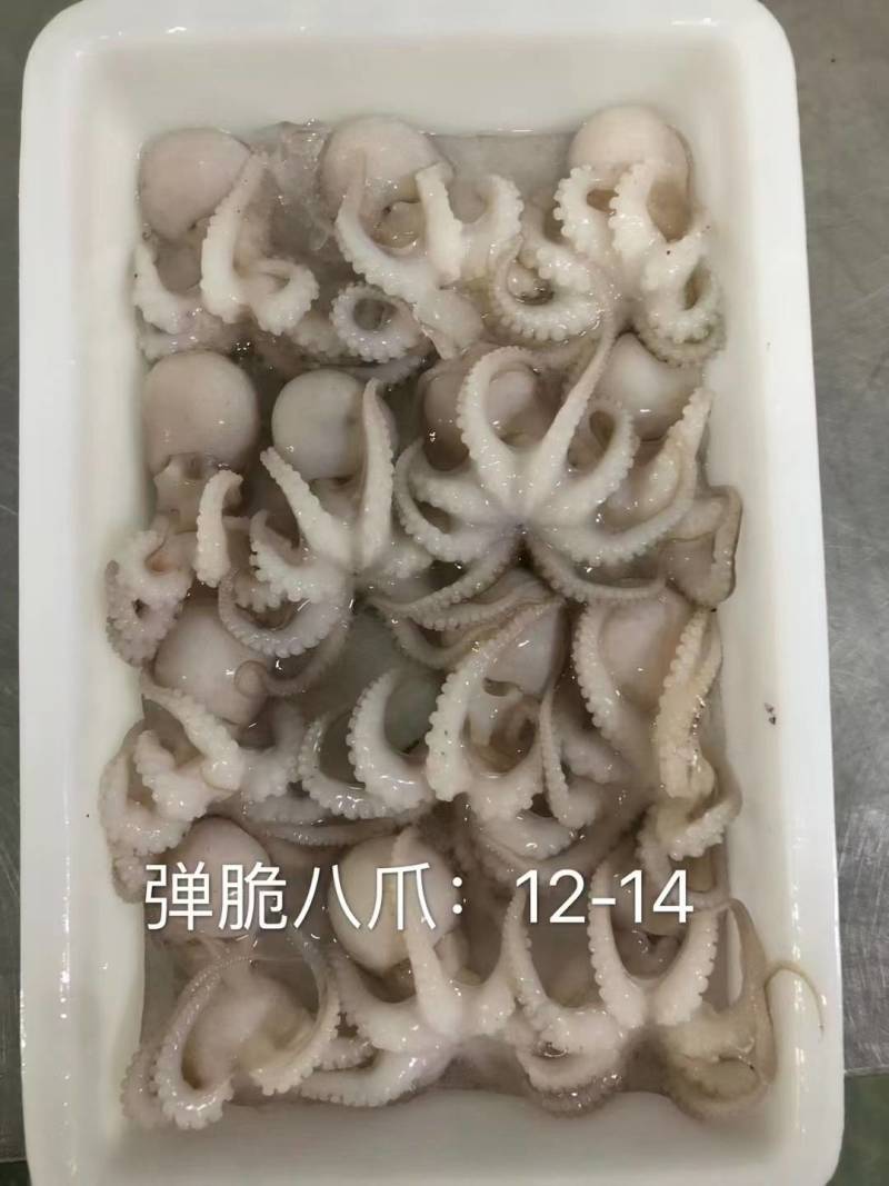 八爪鱼，肤色完整，Q弹爽脆！