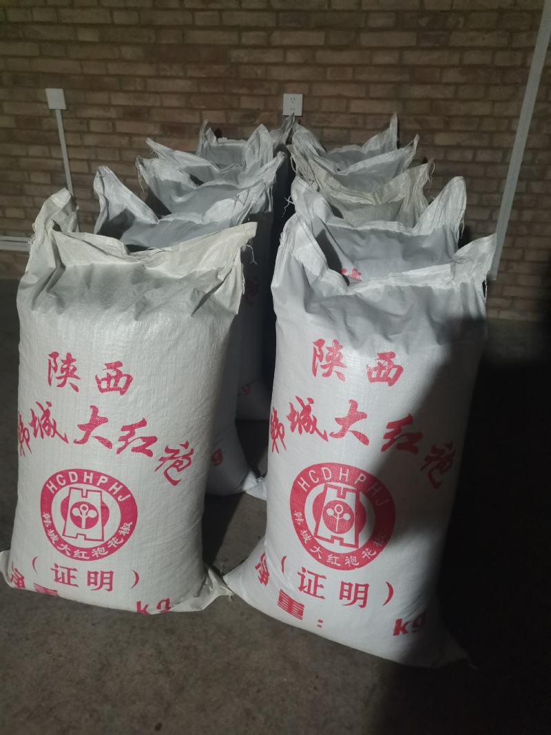 2024新货大红袍花椒颜色好颗粒饱满香麻价格实惠欢迎采购