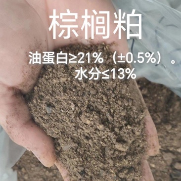 棕榈粕