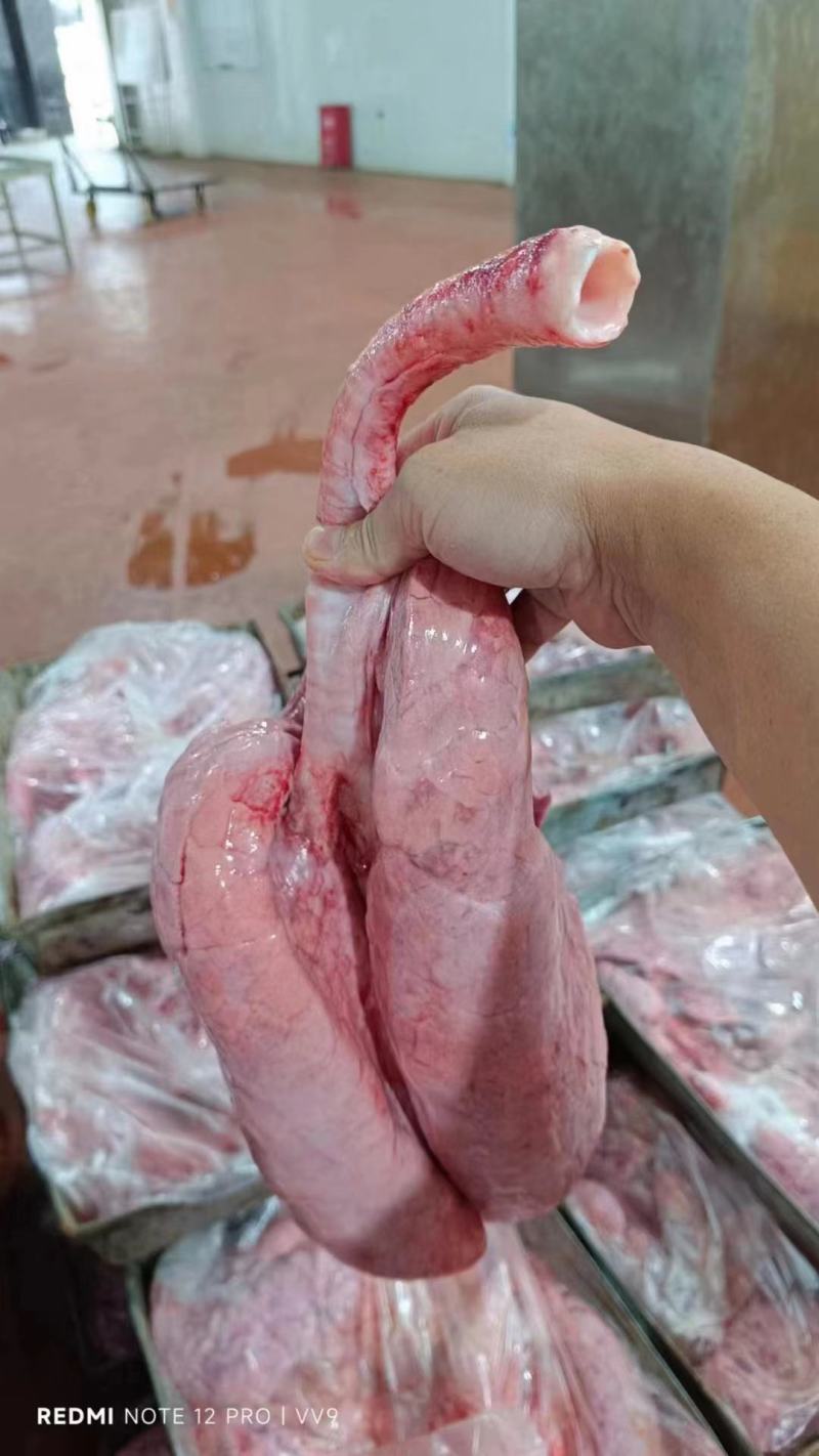 贸易带心管猪肺30吨
